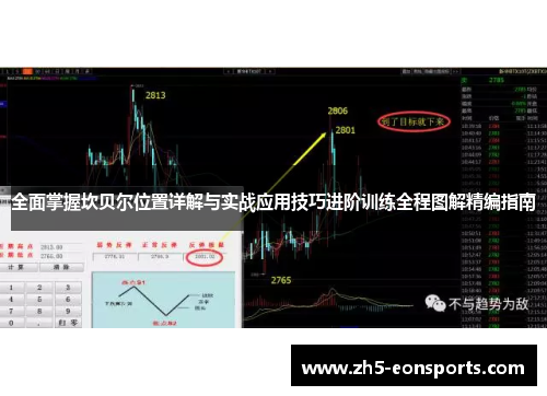 全面掌握坎贝尔位置详解与实战应用技巧进阶训练全程图解精编指南 全面掌握坎贝尔位置详解与实战应用技巧进阶训练全程图解精编指南
