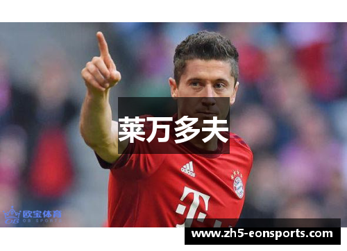 莱万多夫 莱万多夫